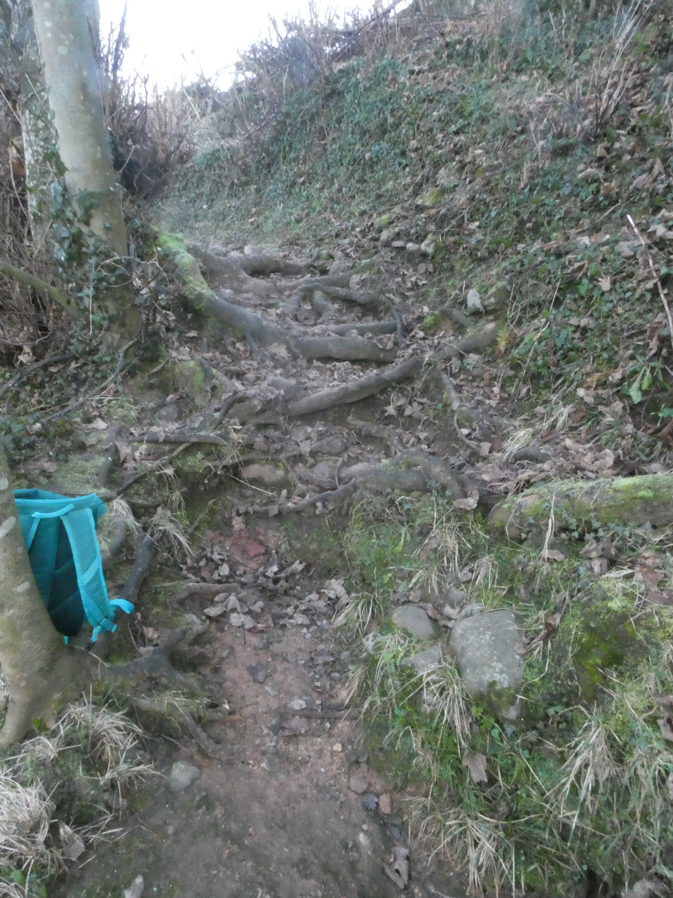 Photo by John Ockenden